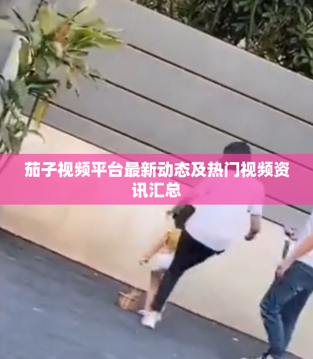 茄子视频平台最新动态及热门视频资讯汇总