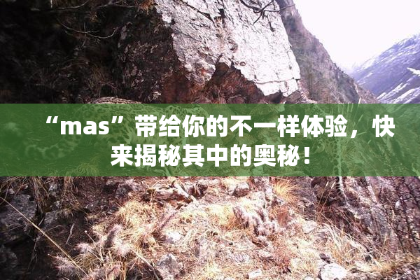 “mas”带给你的不一样体验，快来揭秘其中的奥秘！