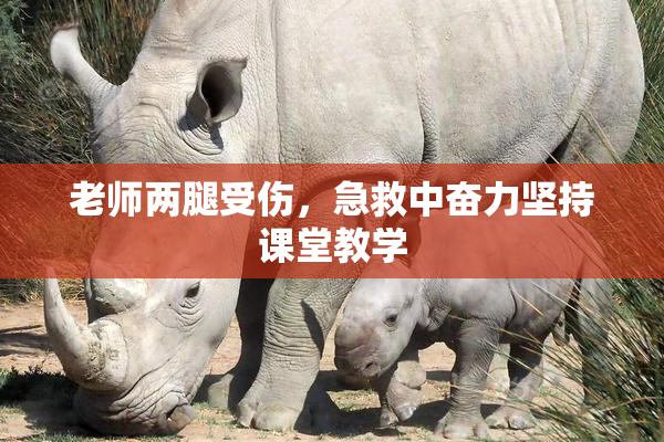 老师两腿受伤，急救中奋力坚持课堂教学