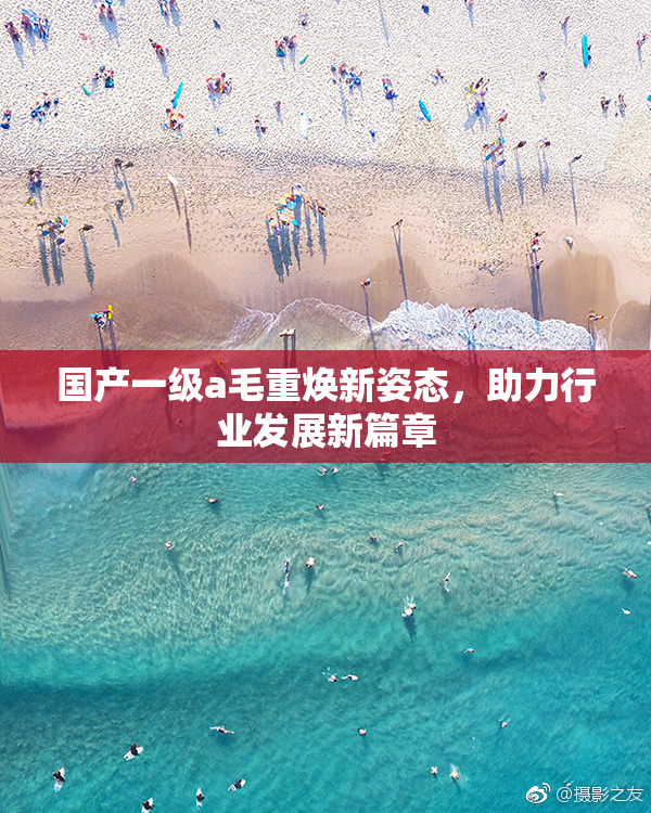国产一级a毛重焕新姿态，助力行业发展新篇章
