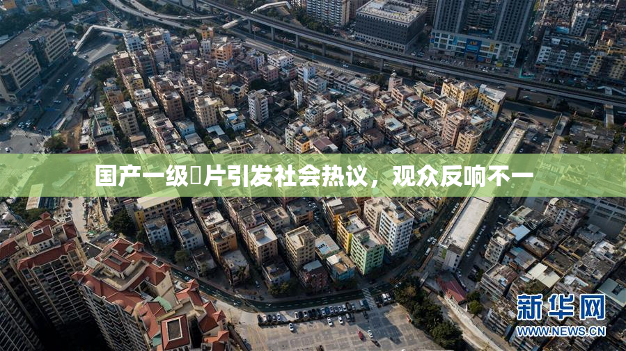 国产一级婬片引发社会热议，观众反响不一