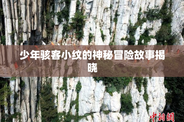少年骇客小纹的神秘冒险故事揭晓
