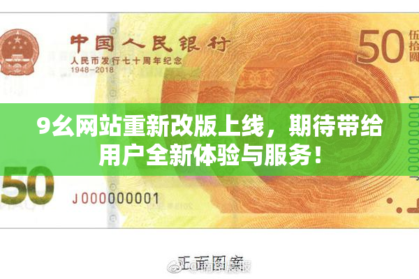 9幺网站重新改版上线，期待带给用户全新体验与服务！