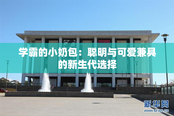 学霸的小奶包：聪明与可爱兼具的新生代选择