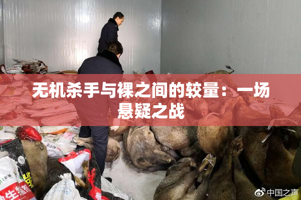 无机杀手与裸之间的较量：一场悬疑之战