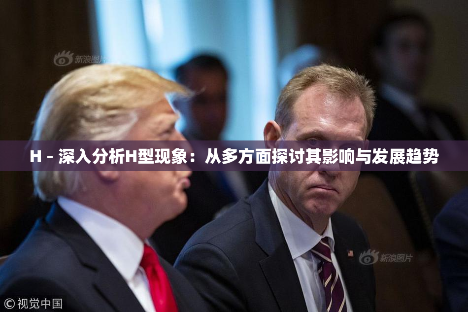 H - 深入分析H型现象：从多方面探讨其影响与发展趋势