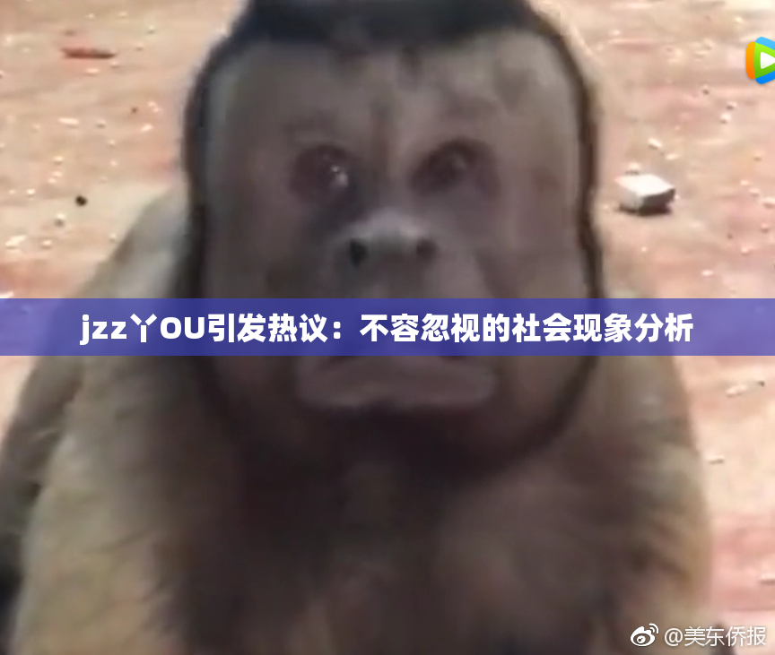jzz丫OU引发热议：不容忽视的社会现象分析