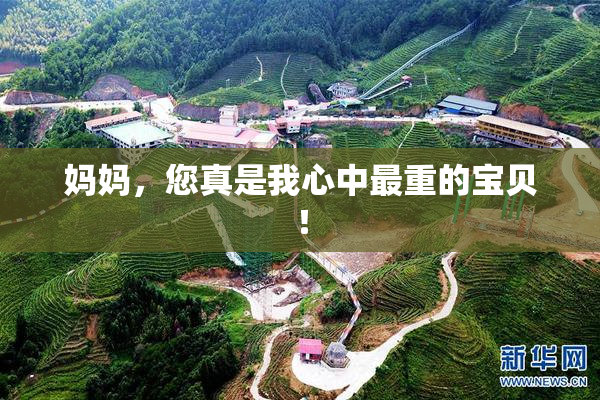 妈妈，您真是我心中最重的宝贝！