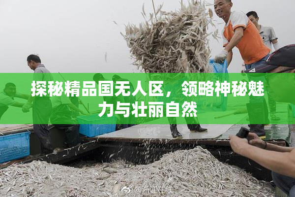 探秘精品国无人区，领略神秘魅力与壮丽自然