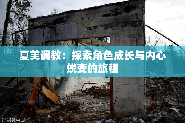 夏芙调教：探索角色成长与内心蜕变的旅程