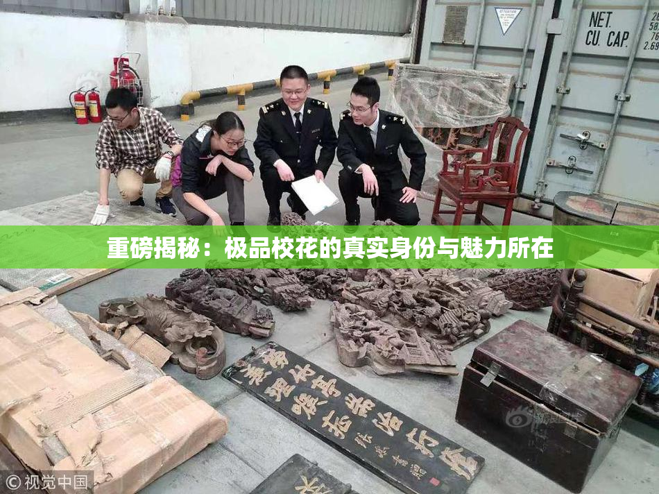 重磅揭秘：极品校花的真实身份与魅力所在