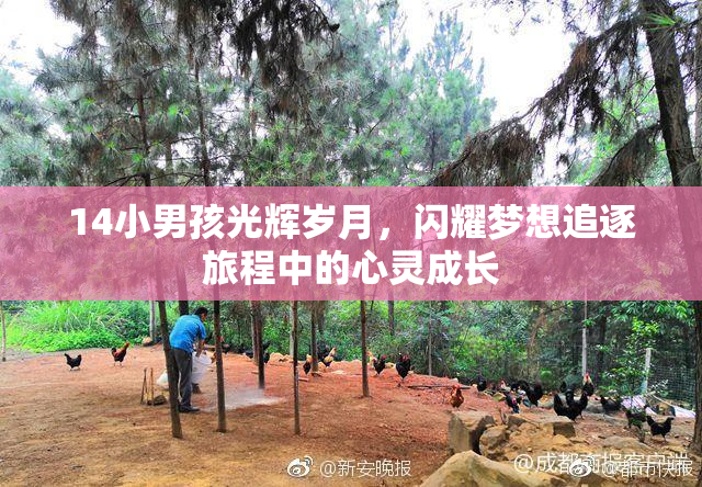 14小男孩光辉岁月，闪耀梦想追逐旅程中的心灵成长