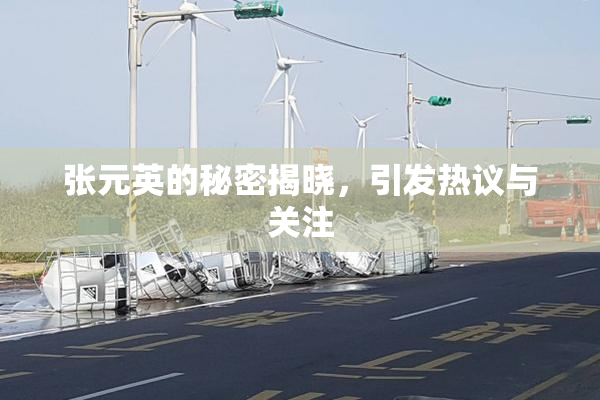 张元英的秘密揭晓，引发热议与关注