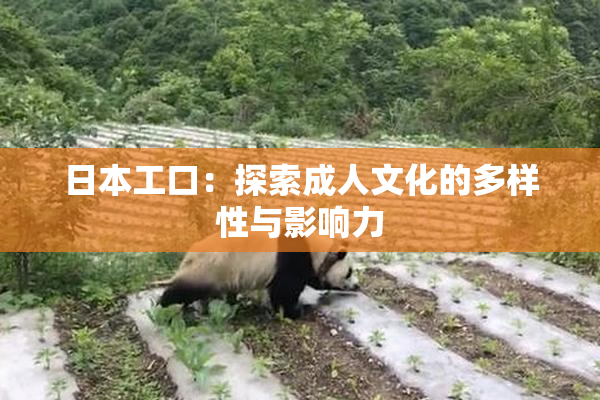 日本工口：探索成人文化的多样性与影响力