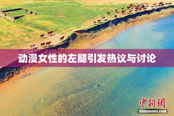 动漫女性的左腿引发热议与讨论