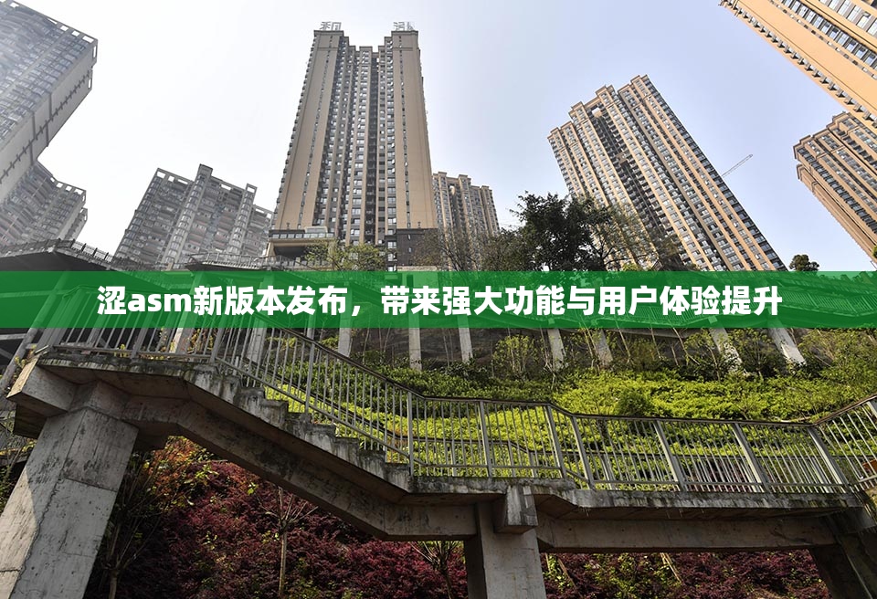 涩asm新版本发布，带来强大功能与用户体验提升