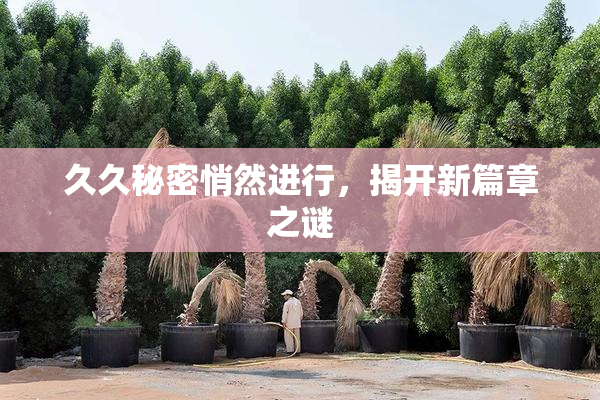 久久秘密悄然进行，揭开新篇章之谜