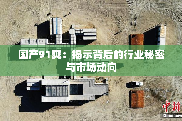 国产91爽：揭示背后的行业秘密与市场动向
