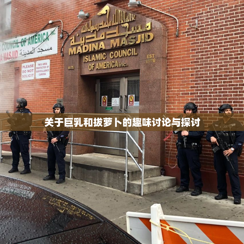 关于巨乳和拔萝卜的趣味讨论与探讨