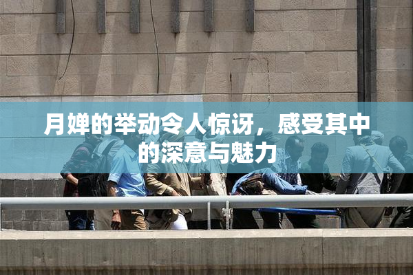 月婵的举动令人惊讶，感受其中的深意与魅力
