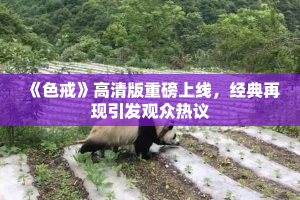 《色戒》高清版重磅上线，经典再现引发观众热议