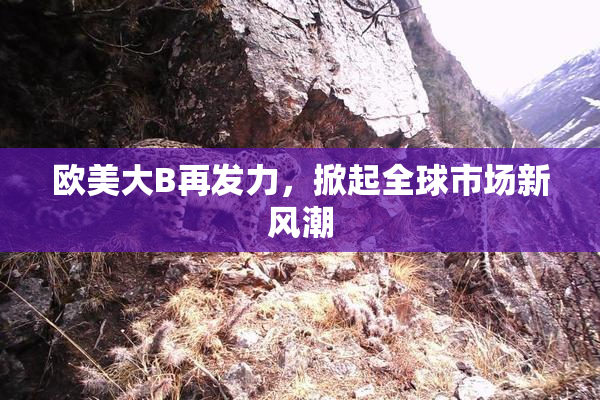 欧美大B再发力，掀起全球市场新风潮