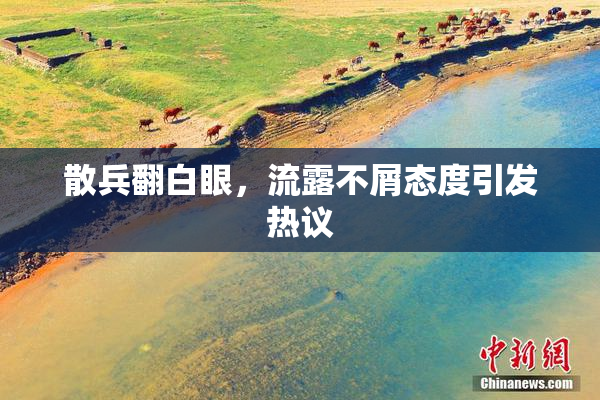 散兵翻白眼，流露不屑态度引发热议