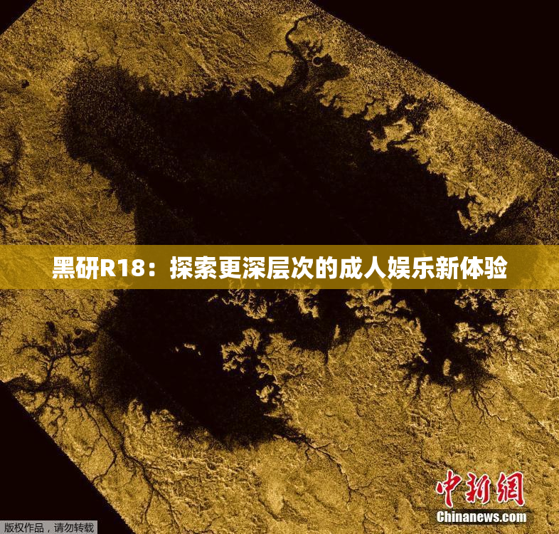 黑研R18：探索更深层次的成人娱乐新体验