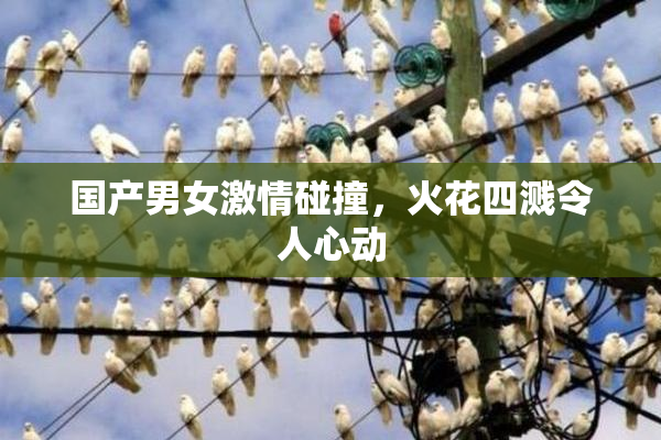 国产男女激情碰撞，火花四溅令人心动