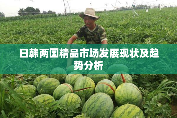日韩两国精品市场发展现状及趋势分析