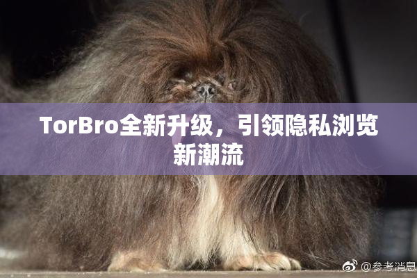 TorBro全新升级，引领隐私浏览新潮流