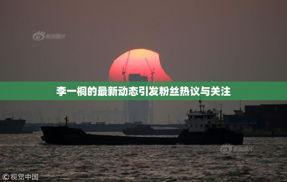 李一桐的最新动态引发粉丝热议与关注