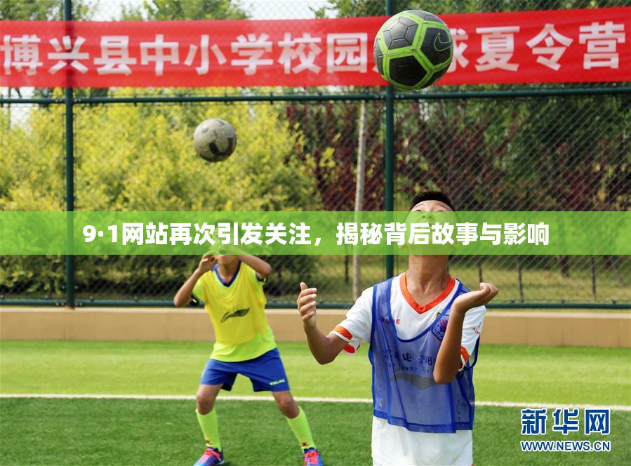 9·1网站再次引发关注，揭秘背后故事与影响