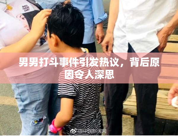 男男打斗事件引发热议，背后原因令人深思