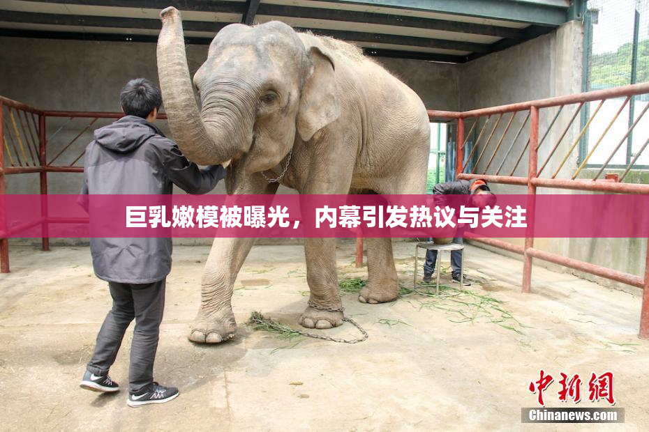 巨乳嫩模被曝光，内幕引发热议与关注