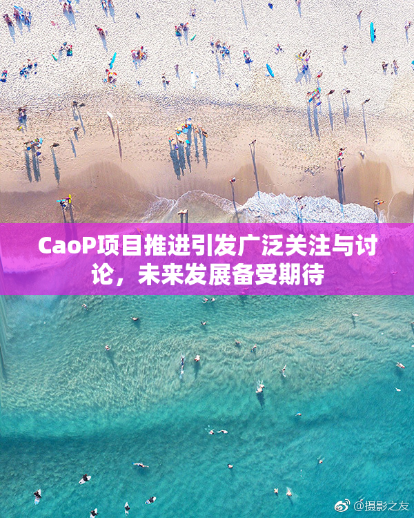 CaoP项目推进引发广泛关注与讨论，未来发展备受期待