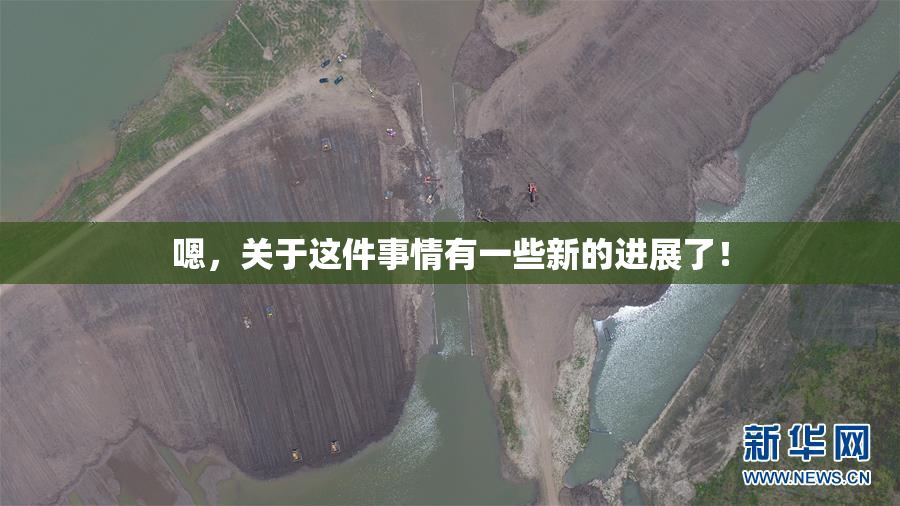 嗯，关于这件事情有一些新的进展了！