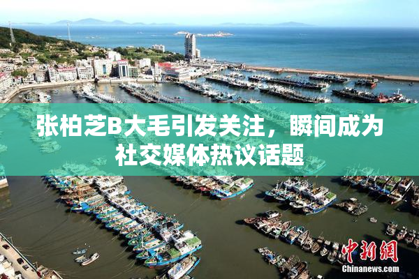 张柏芝B大毛引发关注，瞬间成为社交媒体热议话题