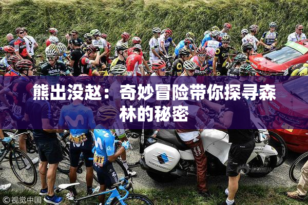熊出没赵：奇妙冒险带你探寻森林的秘密