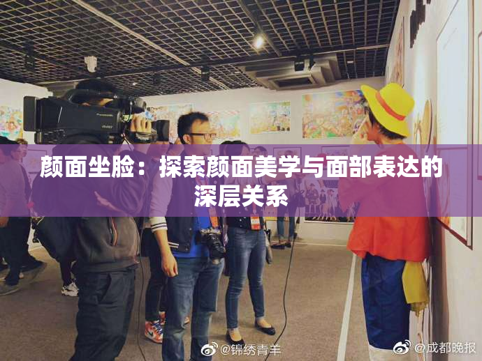 颜面坐脸：探索颜面美学与面部表达的深层关系