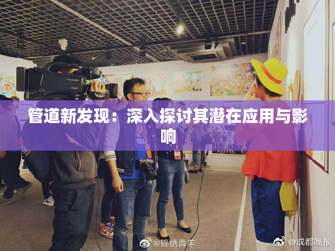 管道新发现：深入探讨其潜在应用与影响