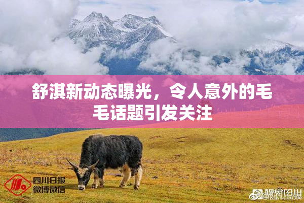 舒淇新动态曝光，令人意外的毛毛话题引发关注