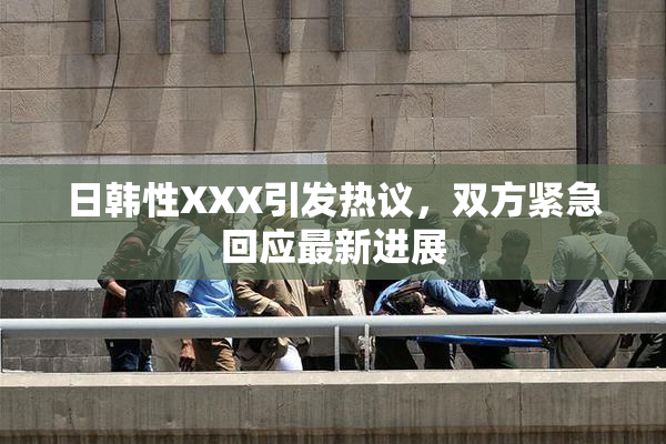 日韩性XXX引发热议，双方紧急回应最新进展