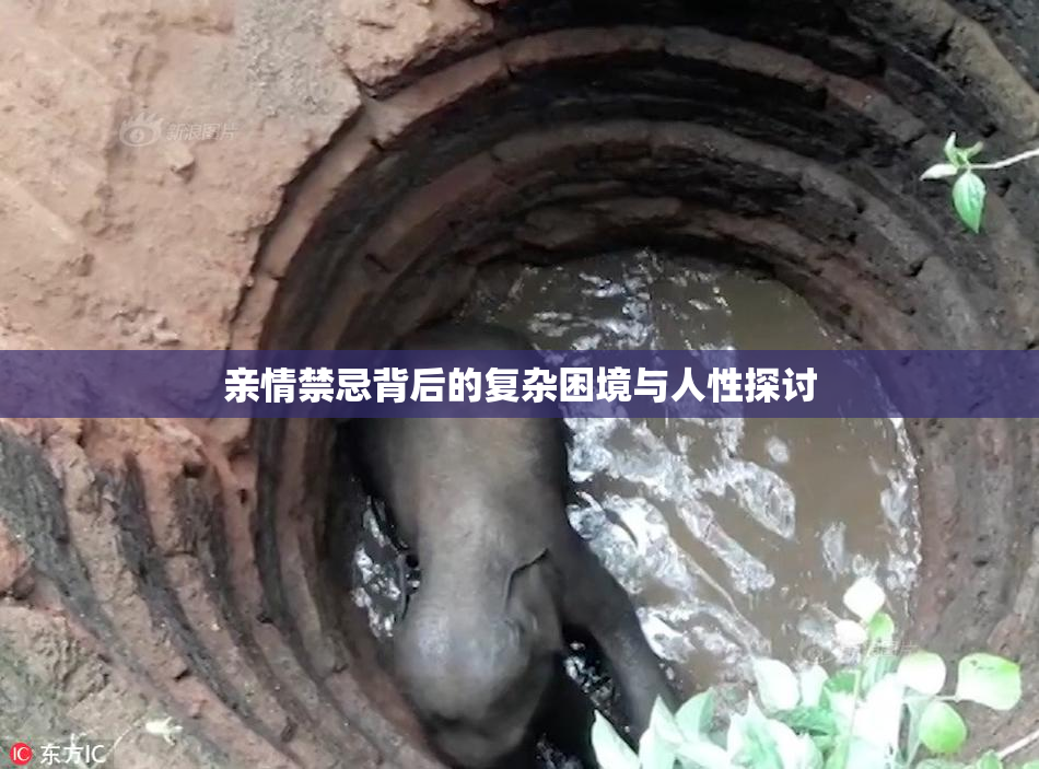 亲情禁忌背后的复杂困境与人性探讨