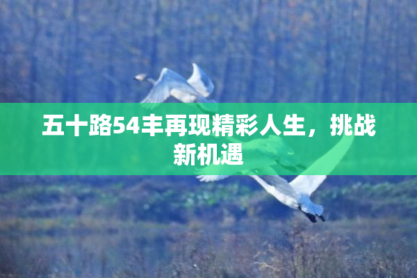 五十路54丰再现精彩人生，挑战新机遇