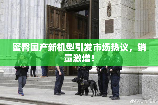蜜臀国产新机型引发市场热议，销量激增！