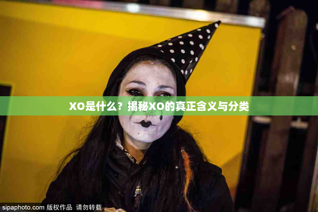 XO是什么？揭秘XO的真正含义与分类