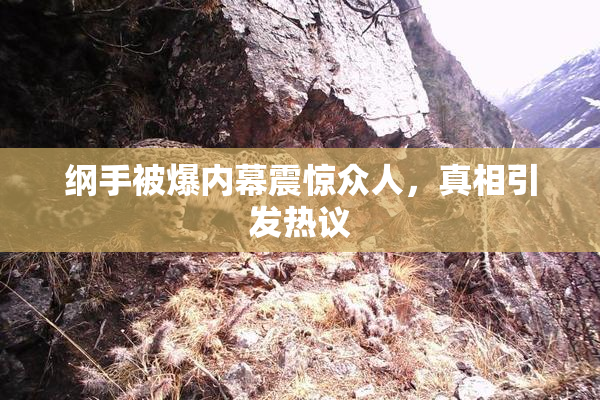纲手被爆内幕震惊众人，真相引发热议
