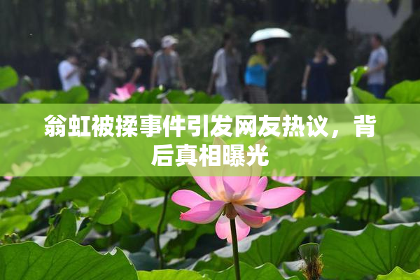 翁虹被揉事件引发网友热议，背后真相曝光