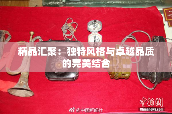 精品汇聚：独特风格与卓越品质的完美结合